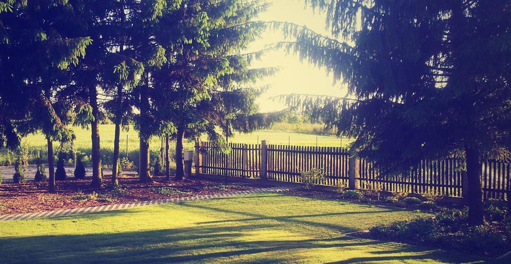 Świerkowe Zacisze Nałęczów Habitación foto